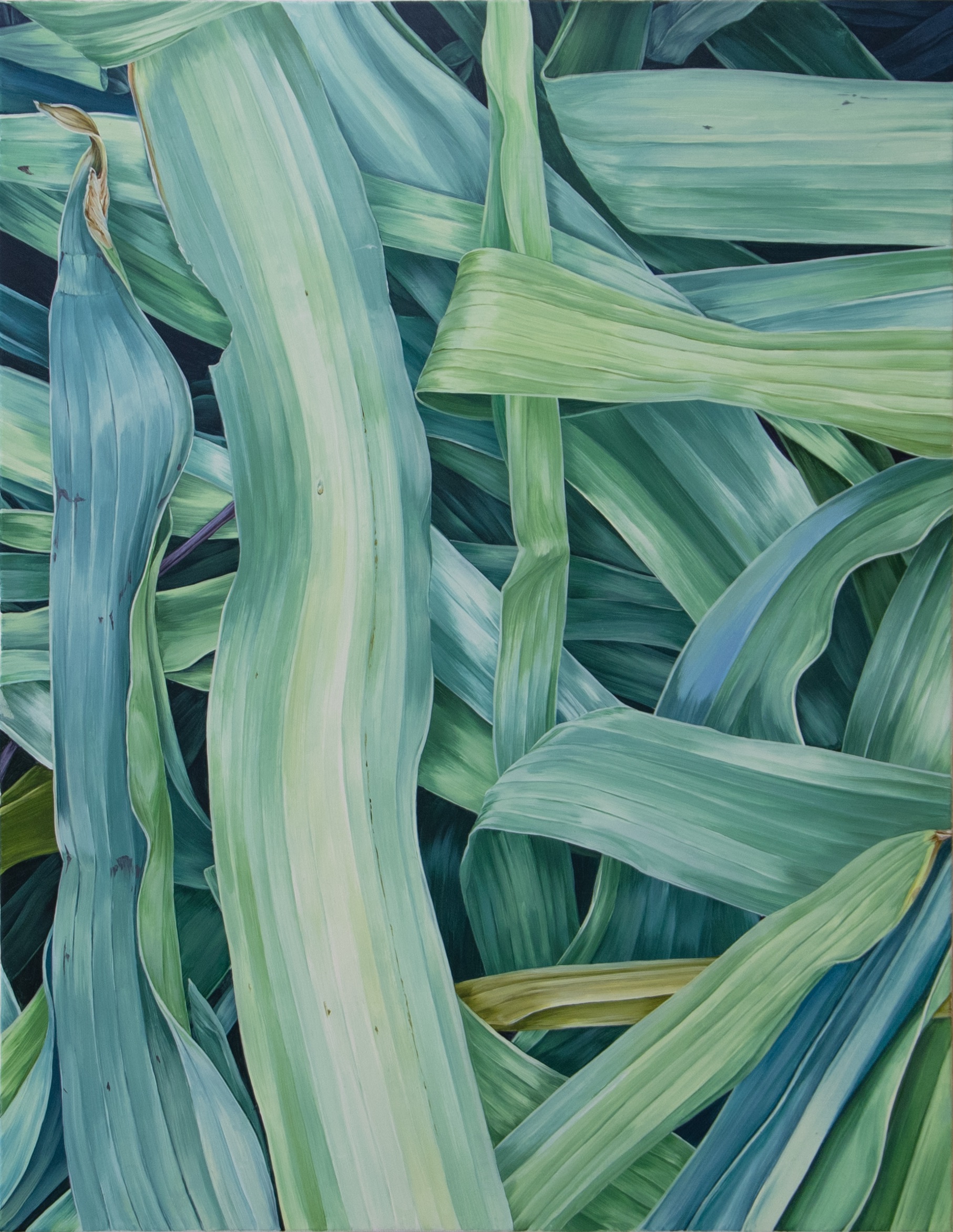 m's art gallery  植物の絵 image-1-1543-300x300.jpg